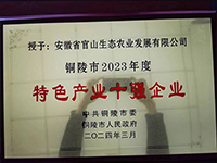 特色產業十強企業